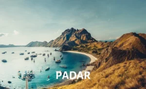 View of Padar Island with boats in the water, showcasing lush hills and beaches