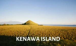 Scenic view of Kanawa Island showcasing grassy hills and the ocean during a phinisi sailing trip.