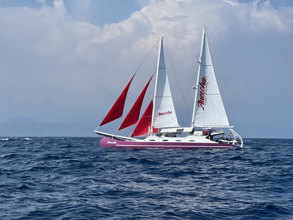 Aneecha Sailing Catamaran — photo 3