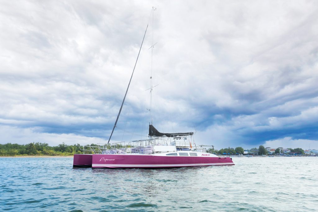 Aneecha II Sailing Catamaran